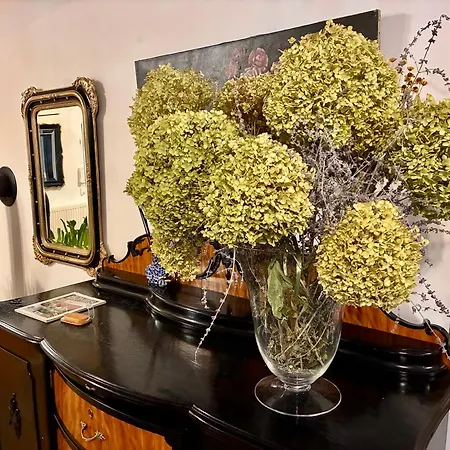 Apartmán Riviera Praha